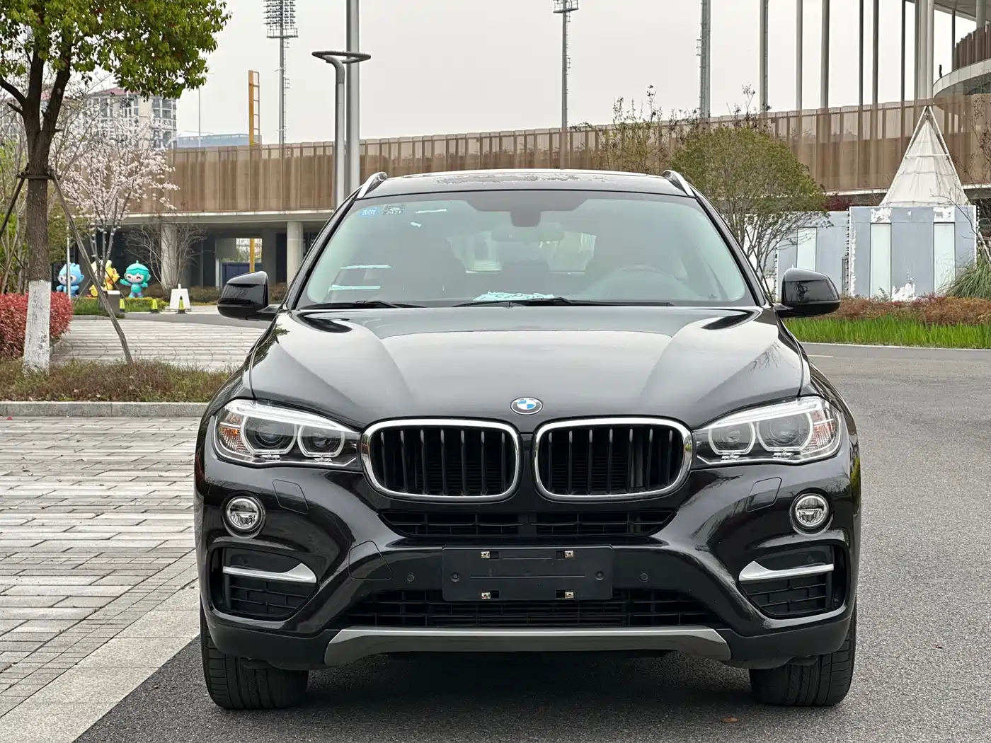 BMW X6 2015 xDrive35i Luxury Model фото 2