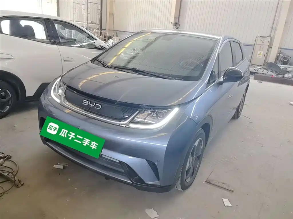 BYD Dolphin 2024 Glory Edition 420km Fashion Edition фото 2