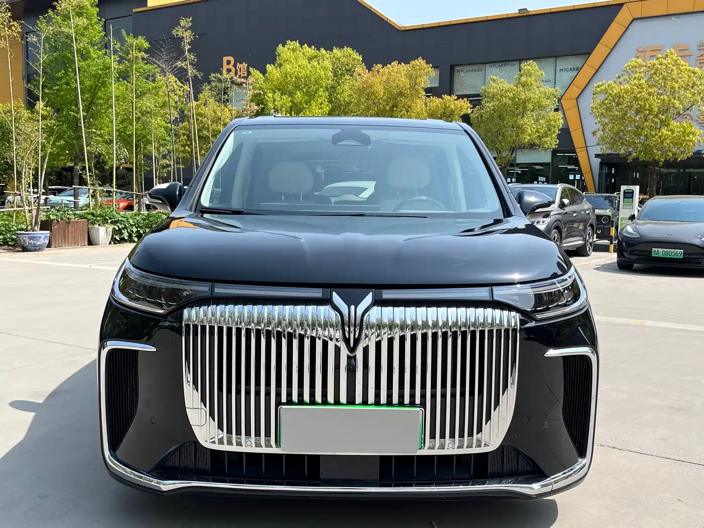 Voyah Auto Voyah Dreamer 2025 PHEV AWD Flagship Kunpeng Edition фото 14