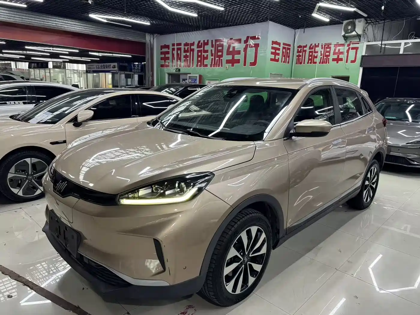 Weltmeister WEIMA EX5