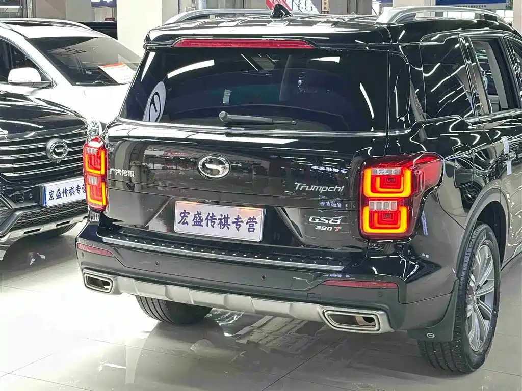 GAC Trumpchi Trumpchi GS8 2020 390T 2WD Luxury Smart Connect Anniversary Edition (7-Seater) фото 31