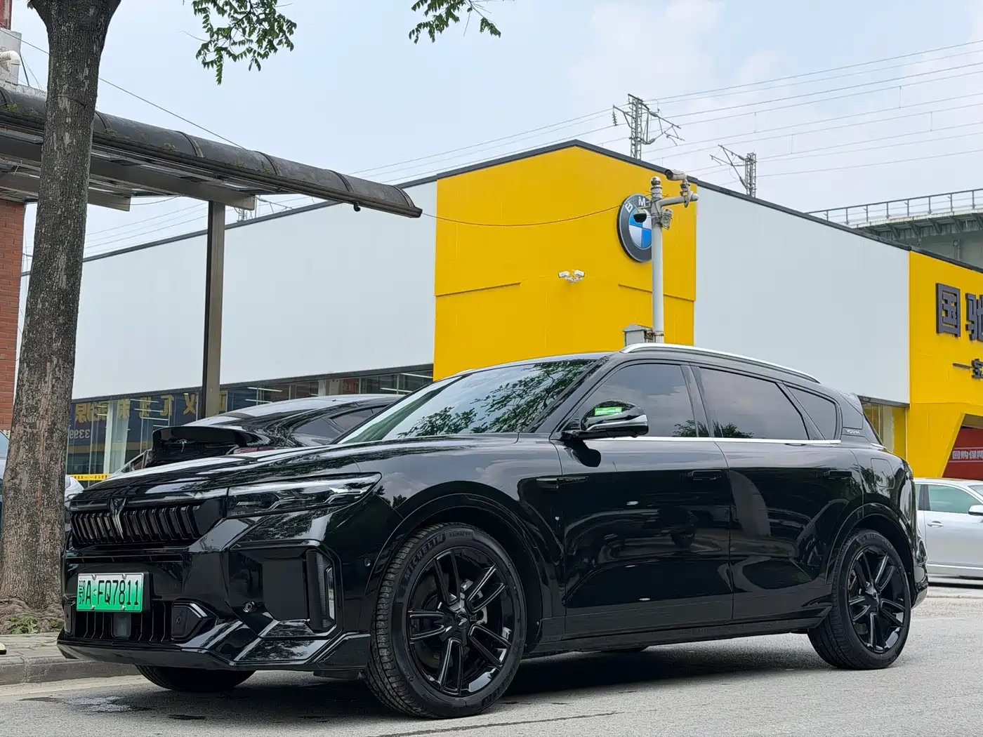 Voyah Auto VOYAH FREE 2024 Ultra Long Range Intelligent Driving Edition
