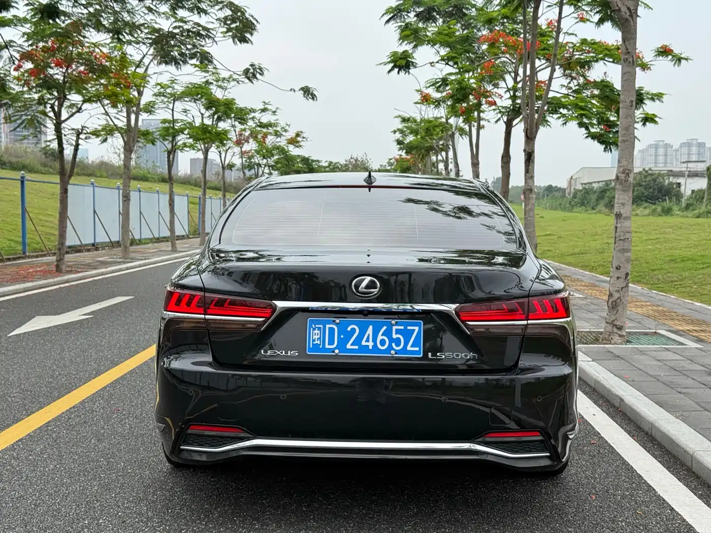 Lexus LS 2018 500h Executive Edition China V фото 6