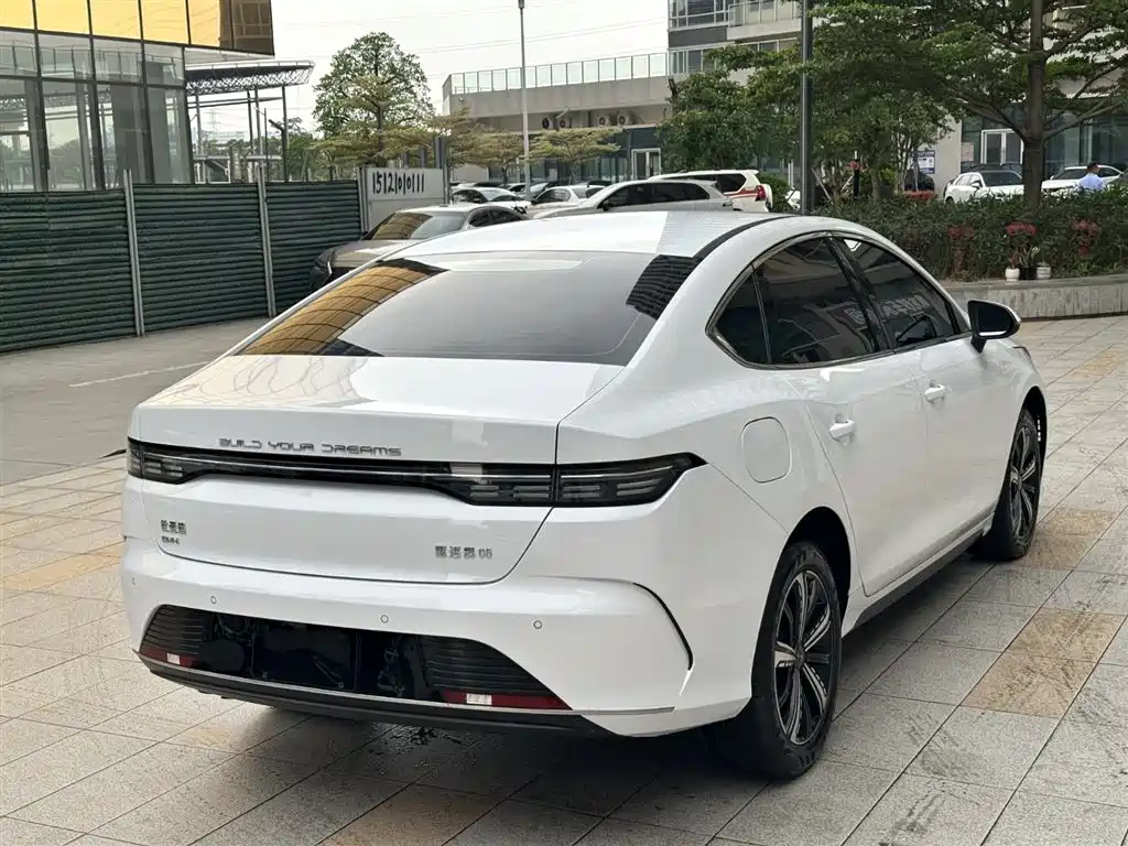 BYD Destroyer 05 2024 Glory Edition DM-i 120KM Luxury фото 20