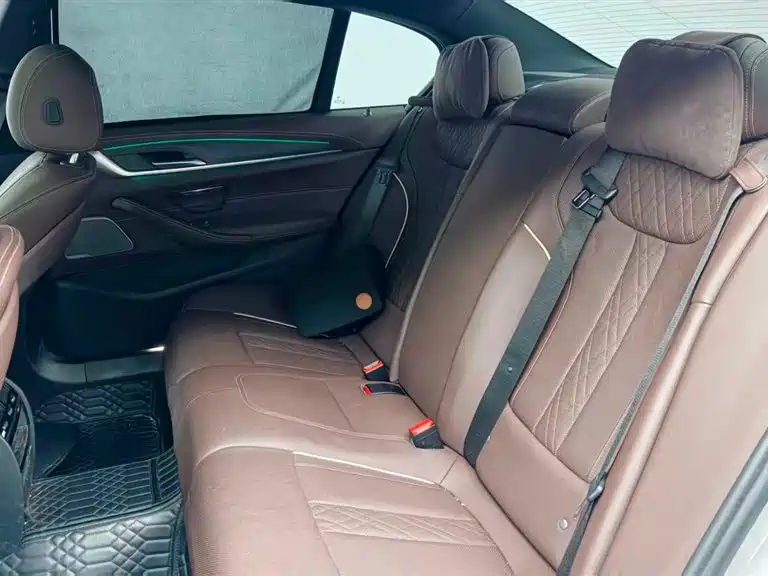 BMW 5 Series 2021 530Li Leading M Sport Package фото 13