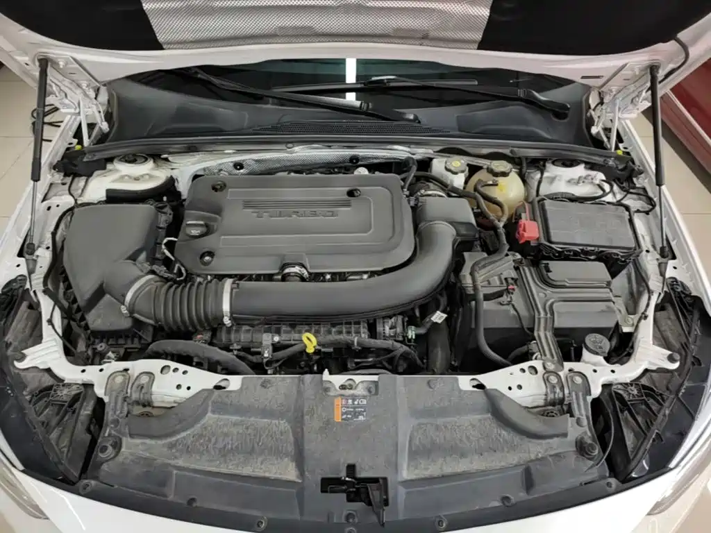 Фото 20 - Buick Regal