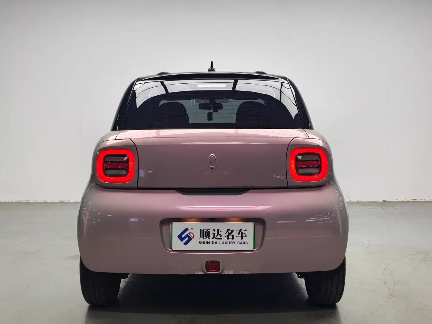 Ora Black Cat 2021 2021 351km Luxury Model