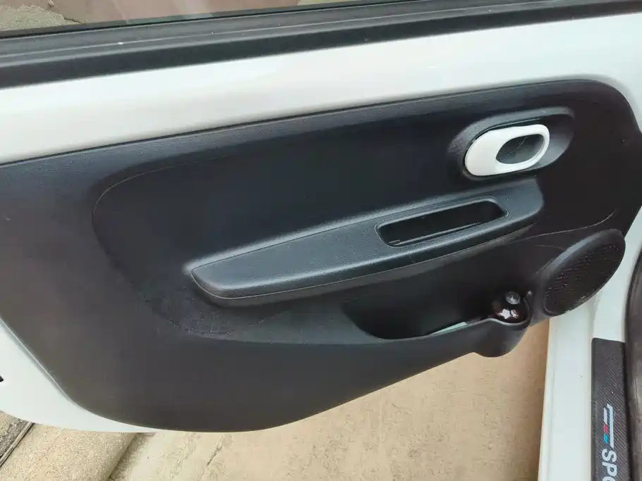 Roewe Clever 2023 2022 311km Vitality Bobo Edition