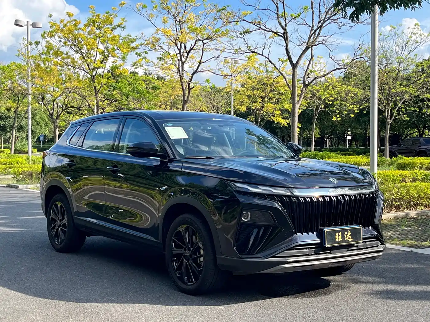 2025 Dongfeng Aeolus Haoji