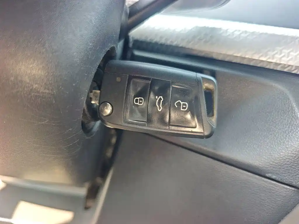Volkswagen Tanying, миниатюра 9