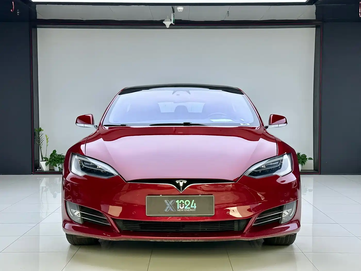 TESLA MODEL S