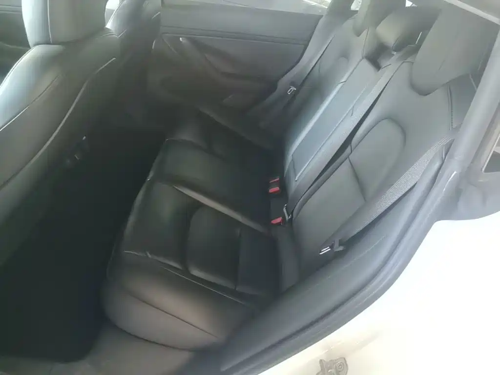 Tesla Model 3 2020 2020 Facelift Standard Range RWD Upgrade