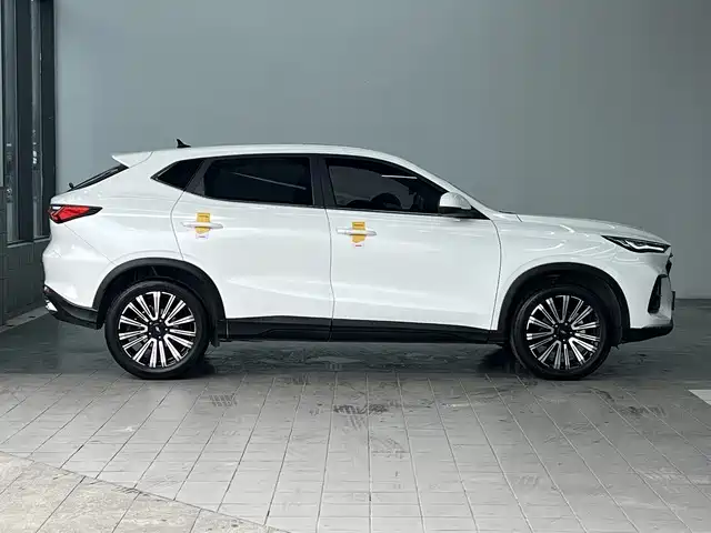 CHANGAN CHANGAN AUCHAN X5