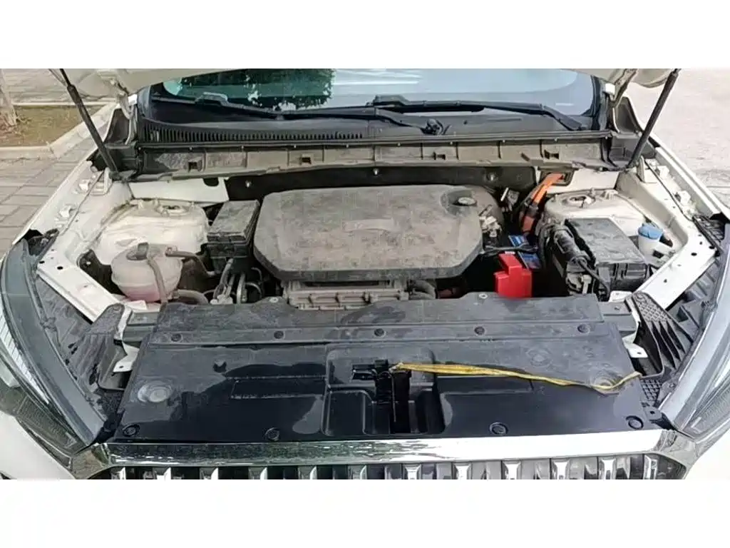 Hongqi E-HS3 2020 2019 Smart Connection Flag Joy FWD Version