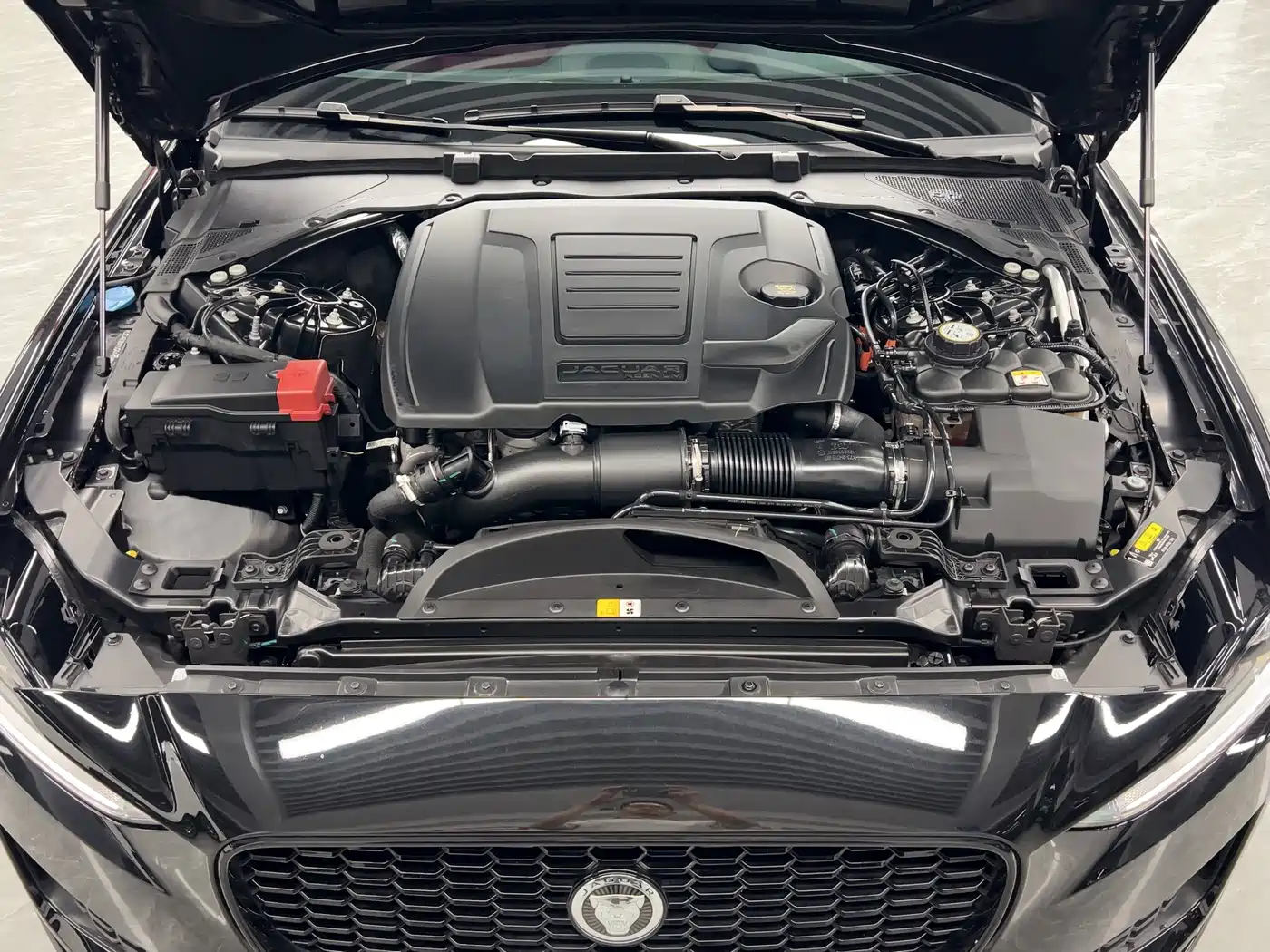 Photo 27 - Jaguar XEL