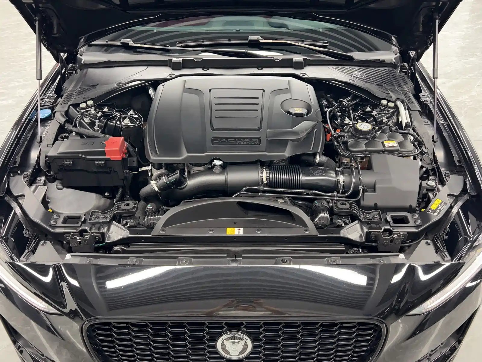 Photo 27 - Jaguar XEL