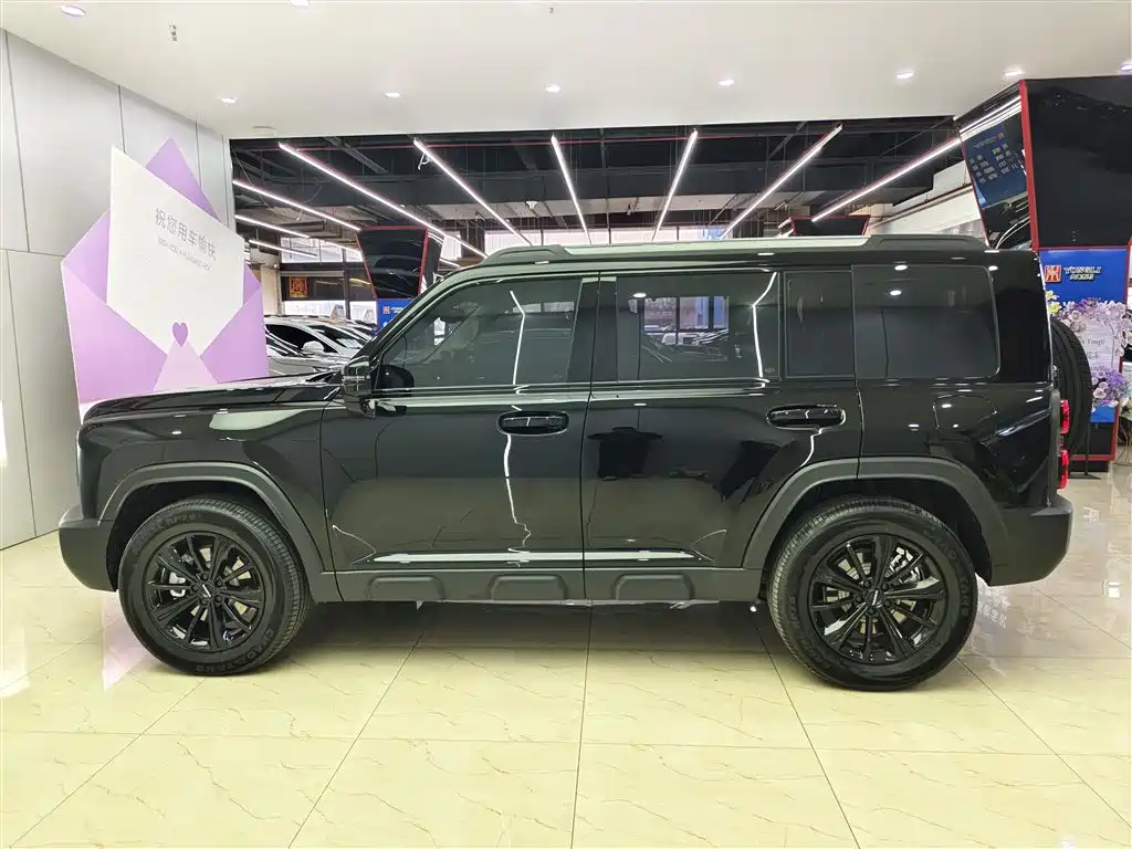 HAVAL RAPTORS NEW ENERGY