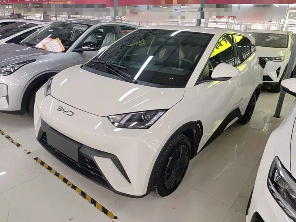 BYD Seagull 2025 305km Vitality