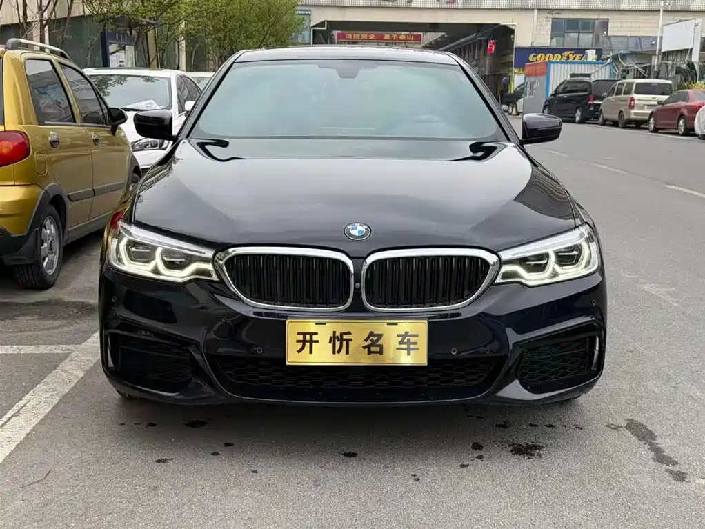 BMW 5 Series 2020 530Li Exclusive M Sport Package фото 2