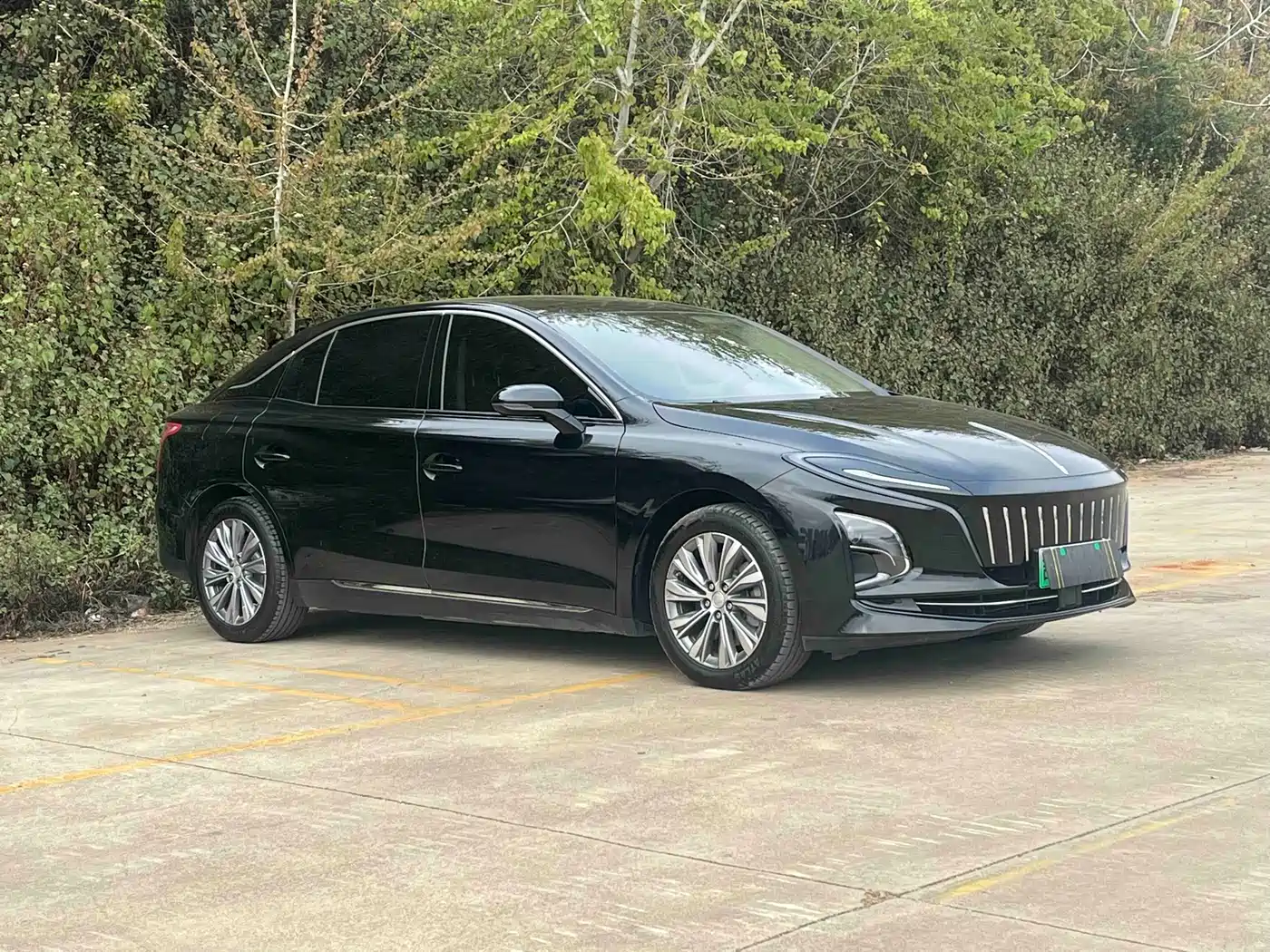 Hongqi HONGQI E QM5