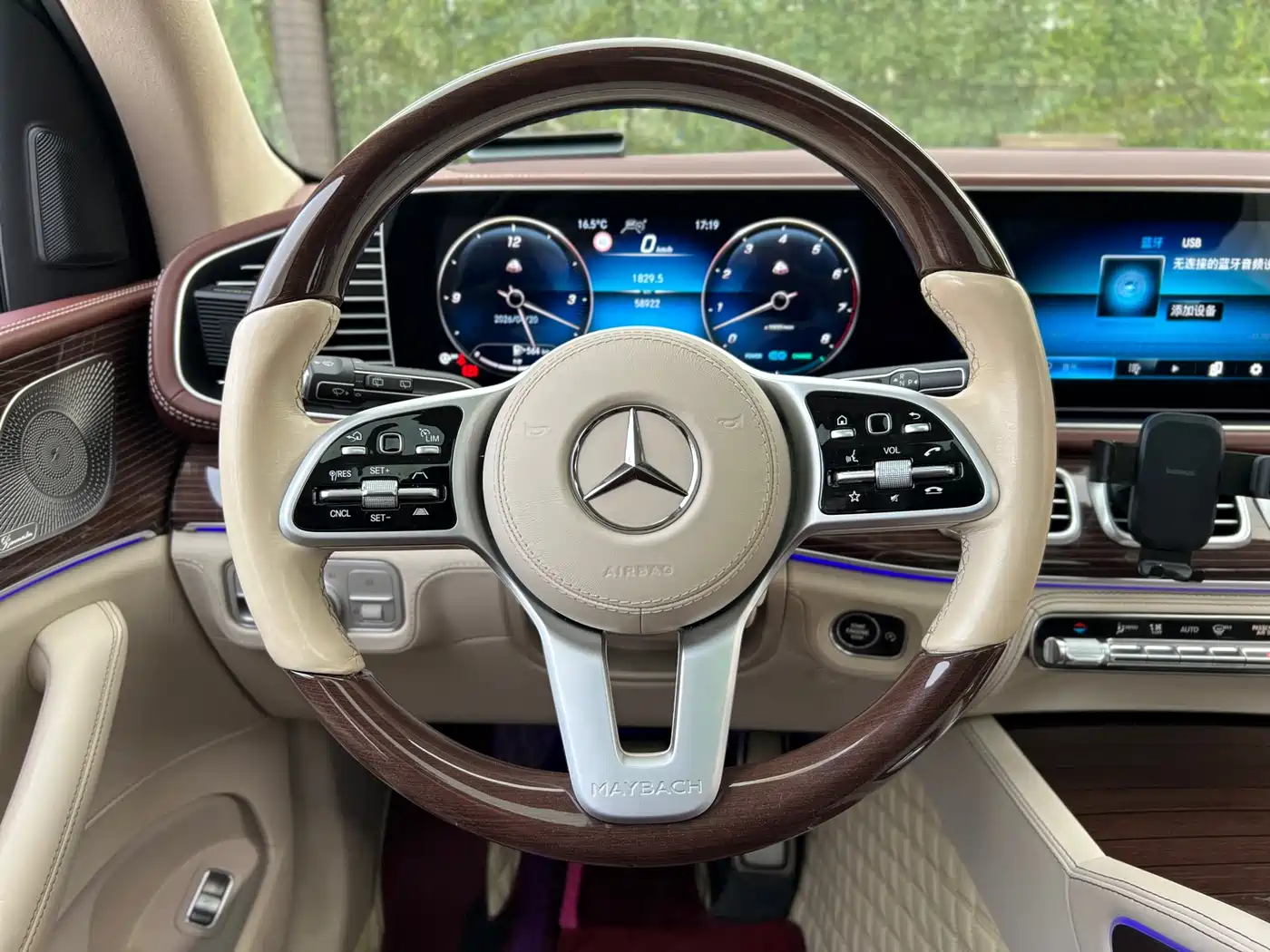 Mercedes-Benz Maybach GLS 2021 GLS 480 4MATIC фото 19