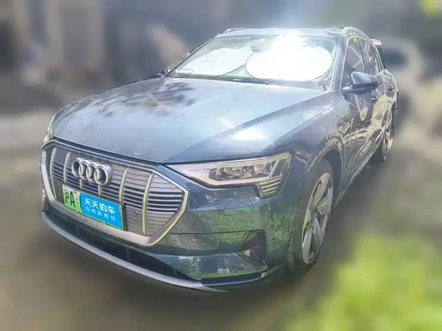 Audi e-tron (Import) 2019 55 quattro Fashion — фото 1