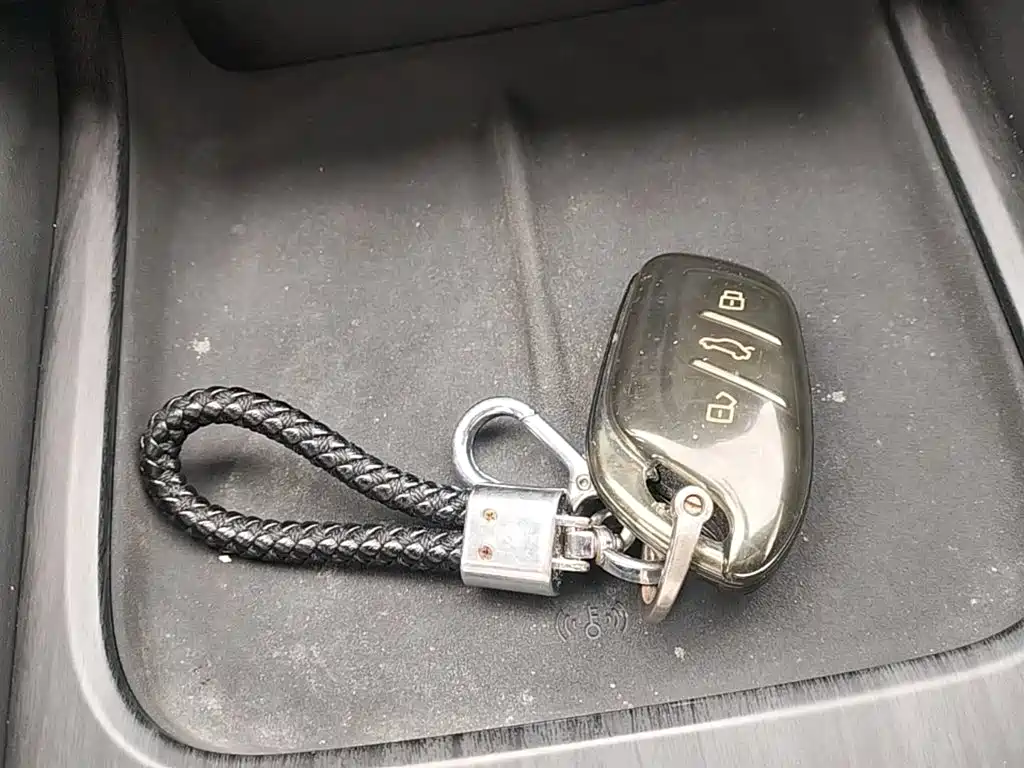 Фото 9 - Roewe D7
