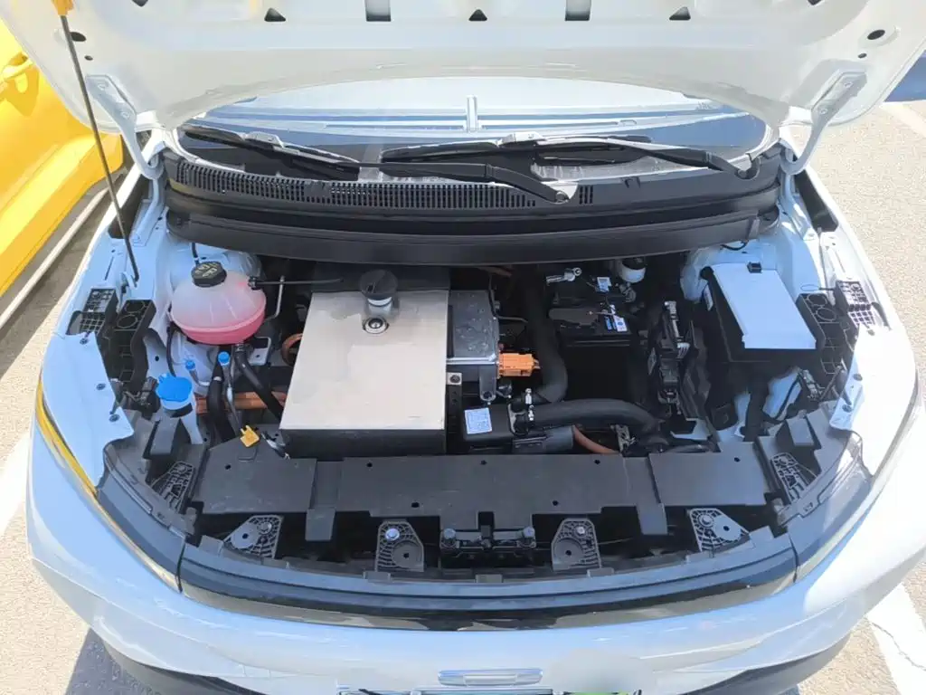 Geely Geometry E Firefly 2024 2024 Model 301km Light Flow