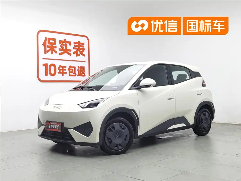 BYD Seagull 2025 Smart Drive Edition 305km Vitality Version