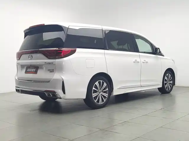 GAC Trumpchi Trumpchi M8 2020 Pilot 390T Prestige Edition — фото 2