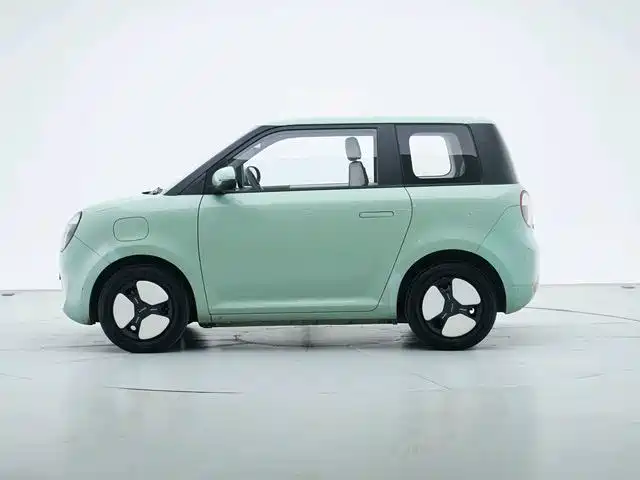 Changan Lumin 2023 2023 Model 205km Fragrant Edition