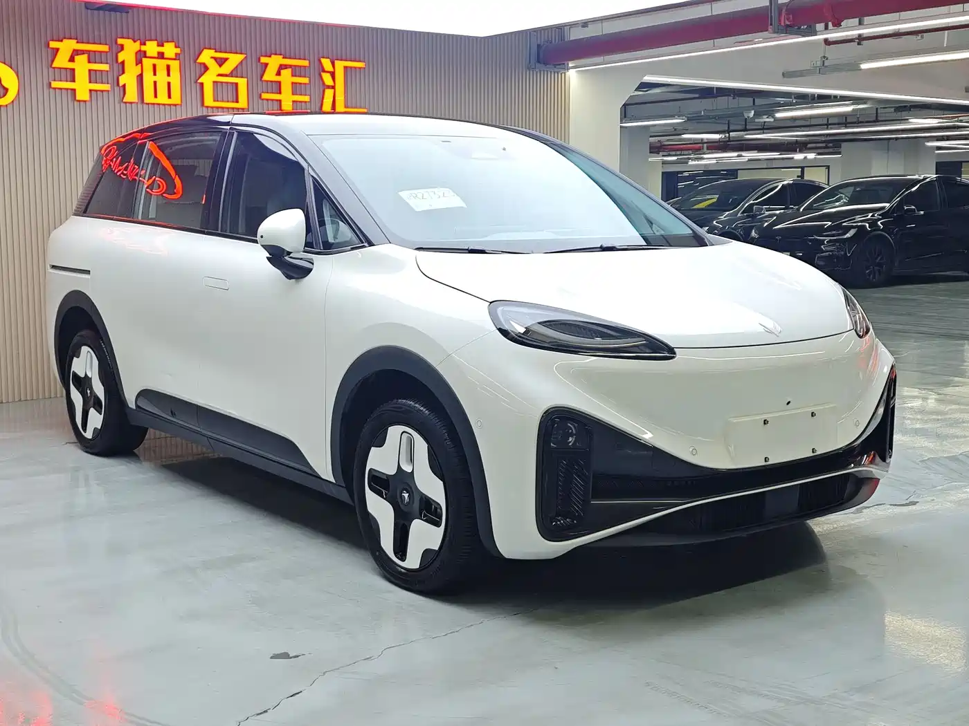 ARCFOX EXTREME FOX POLAR FOX KOALA