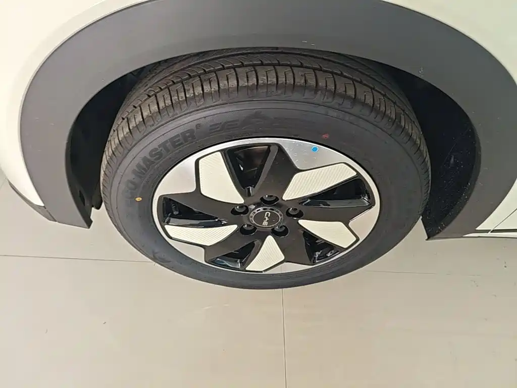 BYD Dolphin 2026 2025 420km Freedom Edition