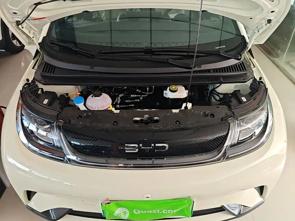 BYD Dolphin 2026 2025 420km Freedom Edition