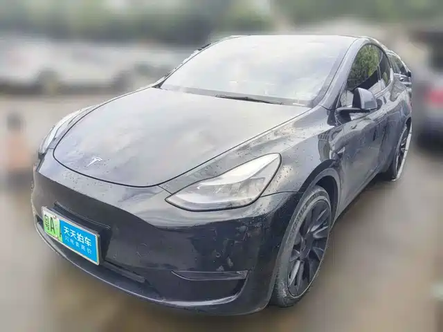 Tesla Model Y 2021 Standard Range Rear-Wheel Drive — фото 1