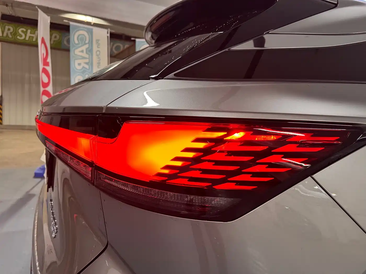 Lexus RX New Energy 2024 2023 450h+ 4WD Enjoyment