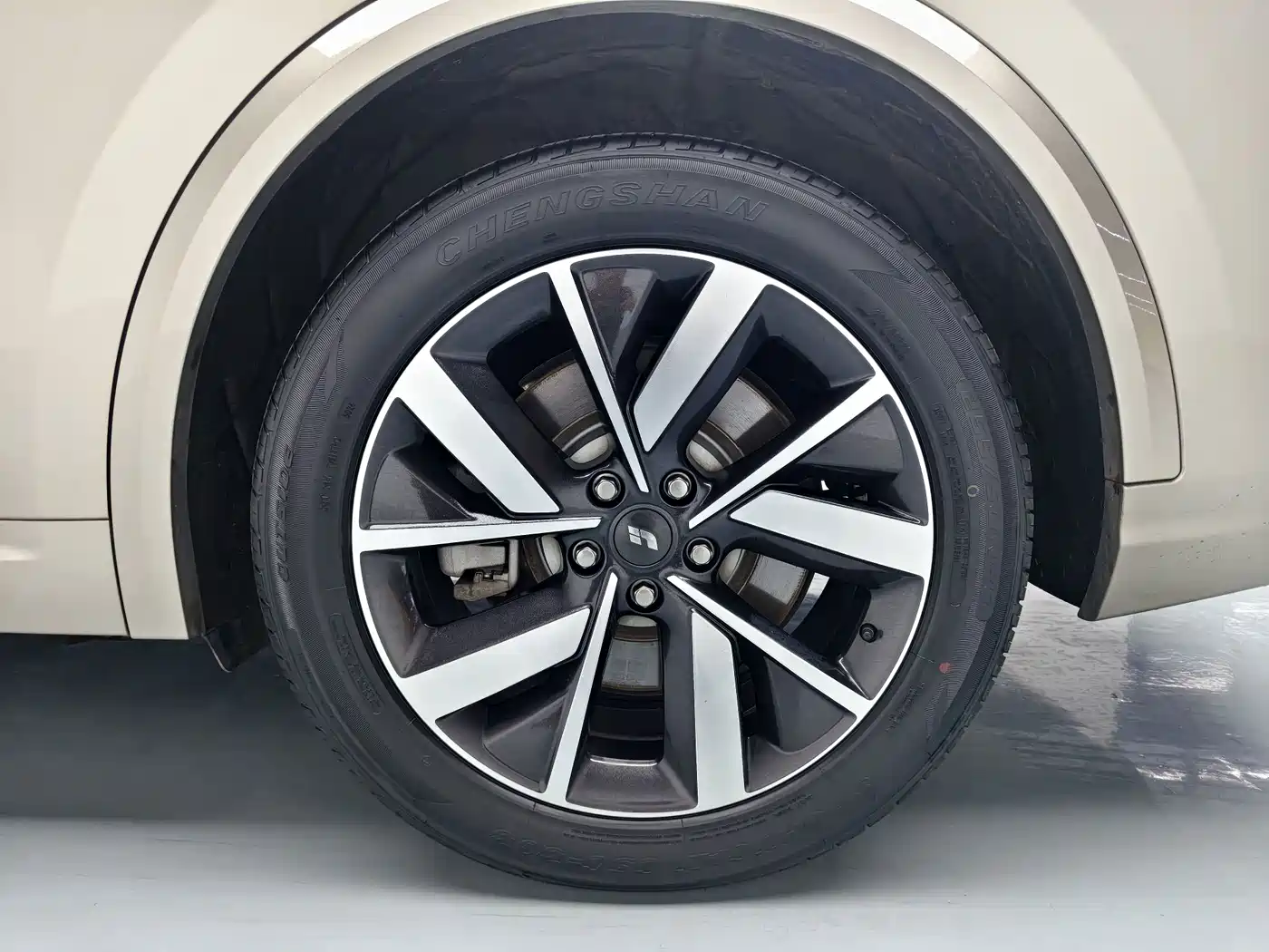 Li Auto Li L8 2022 2023 Pro