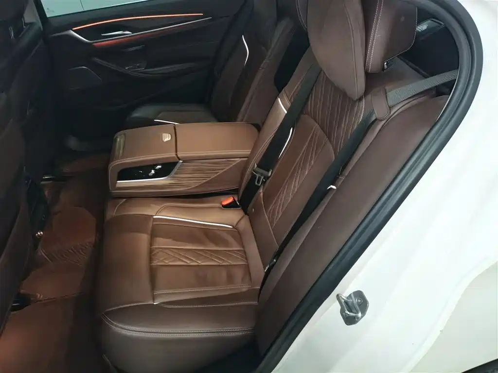 BMW 5 Series New Energy 2020 530Le Range Upgrade Pioneer Edition фото 14