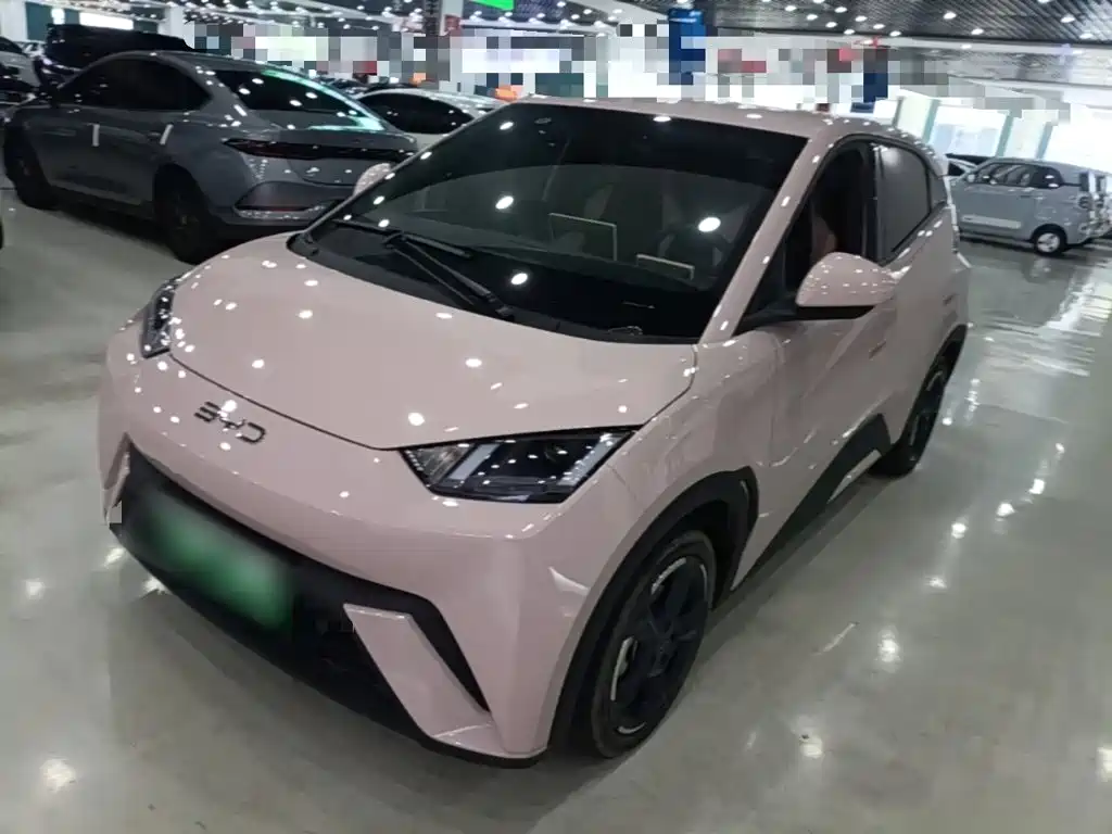 BYD Seagull 2024