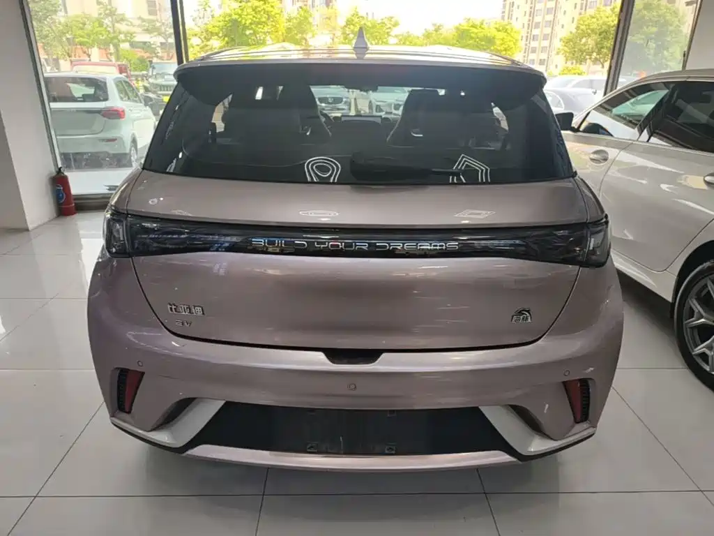 Фото 6 - BYD Dolphin