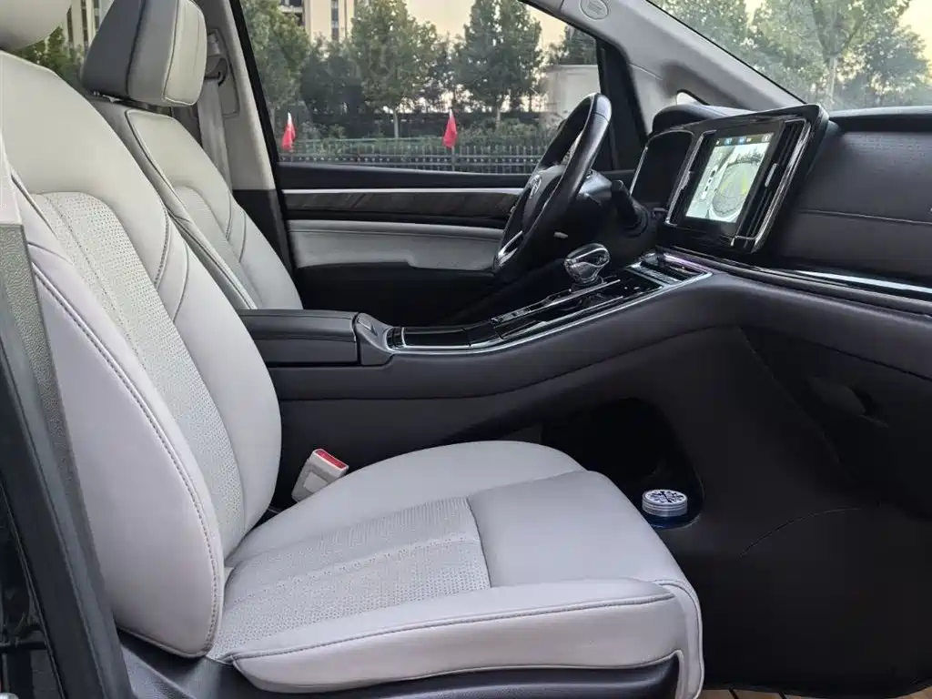 GAC Trumpchi Trumpchi M8 2021 Leading Show Series 390T Ultimate Edition фото 26