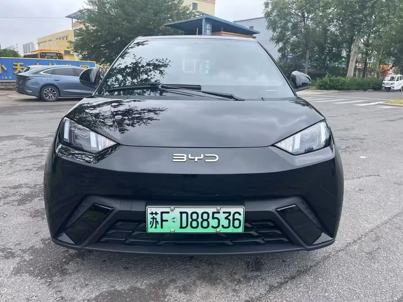 BYD Seagull 2024 Glory Edition 305km Vitality Edition фото 2