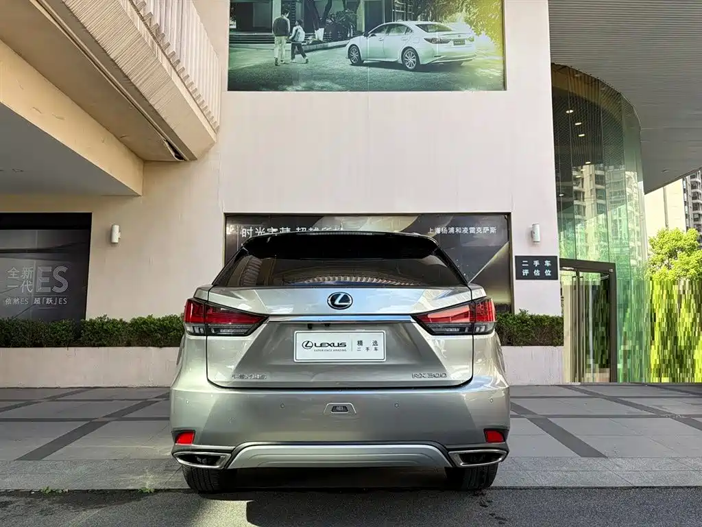 Фото 4 - Lexus RX