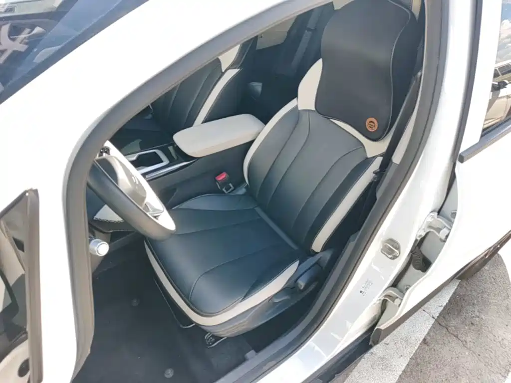 Geely Geometry E Firefly 2025 2024 Model 401km Fluorescent