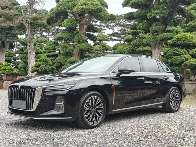 Hongqi H5 2025 2.0T Automatic Flag Celebration 500,000 Units Anniversary Edition — фото 1