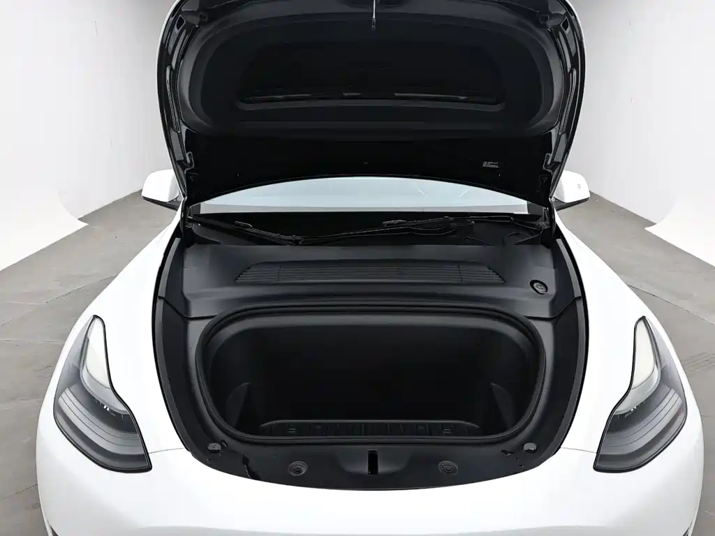 Tesla Model Y 2021 2021 Long Range All-Wheel Drive 3D7