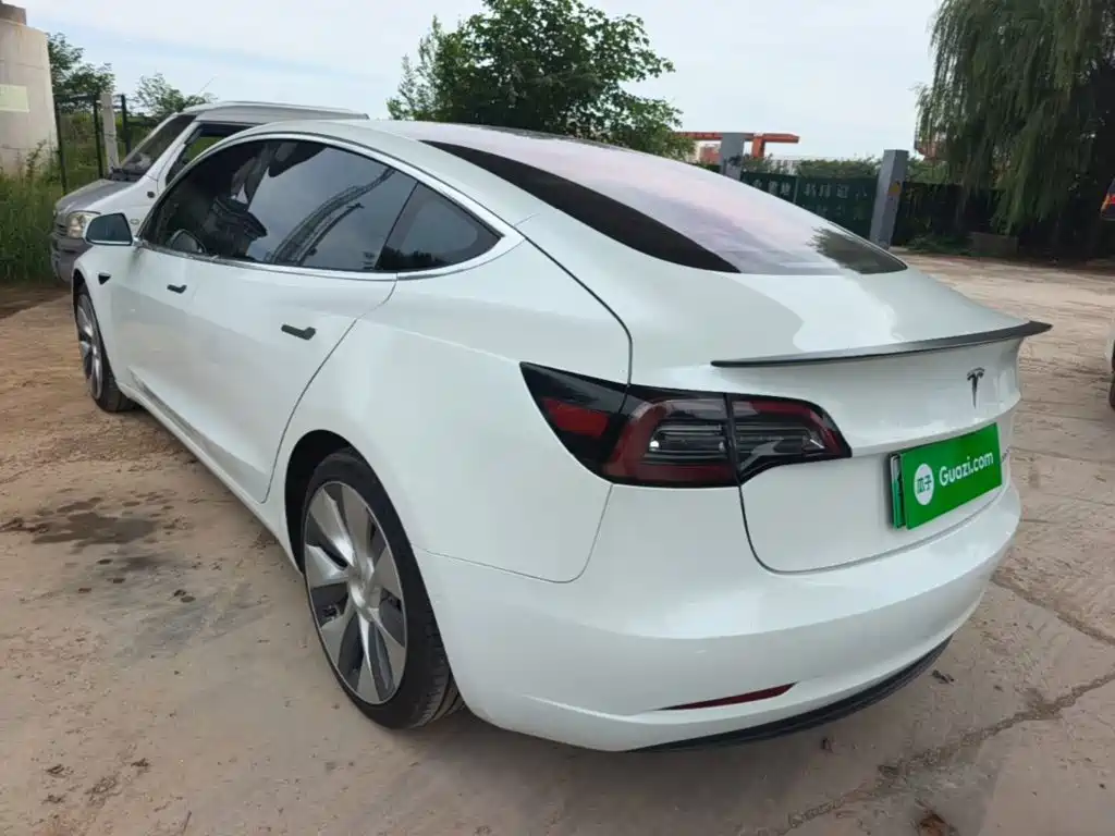 Tesla Model 3 (Import) 2019 2019 Performance High-Efficiency All-Wheel Drive Version