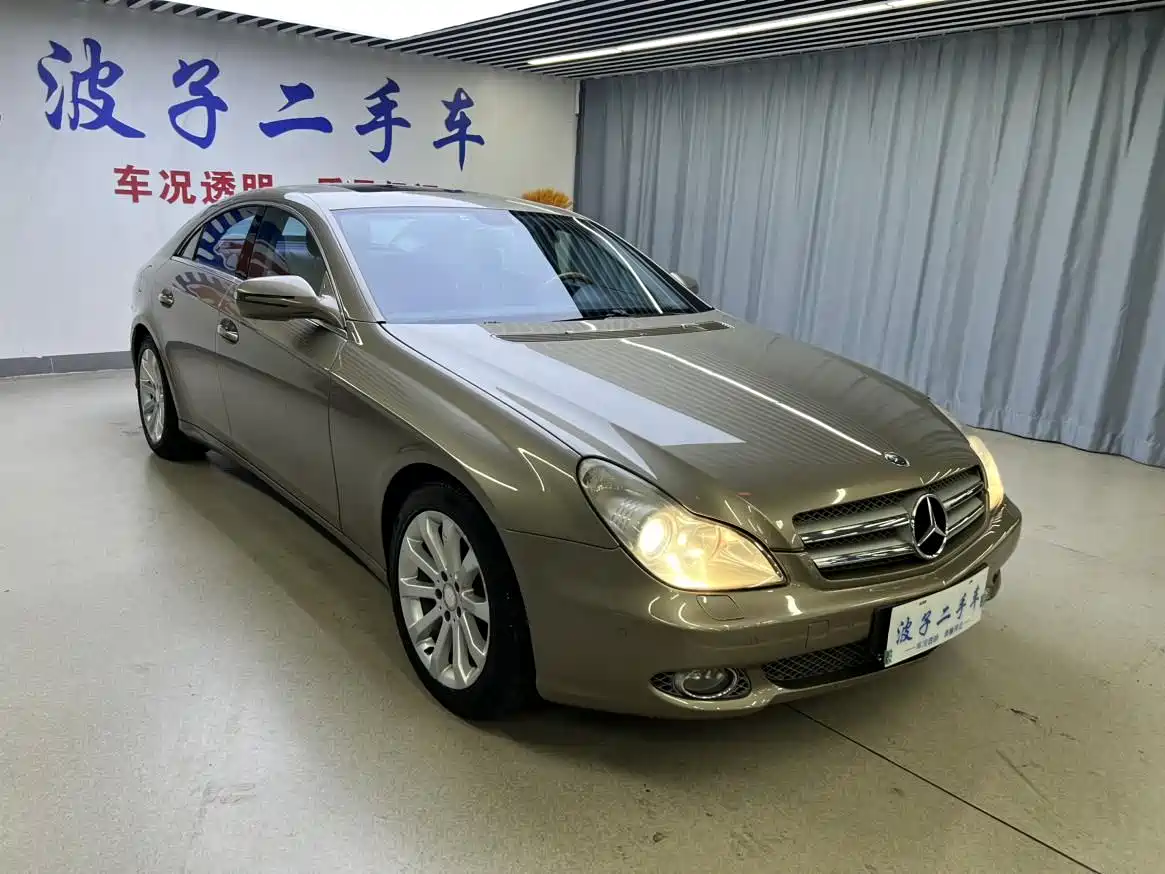 Mercedes-Benz CLS 2009 CLS 300 фото 3