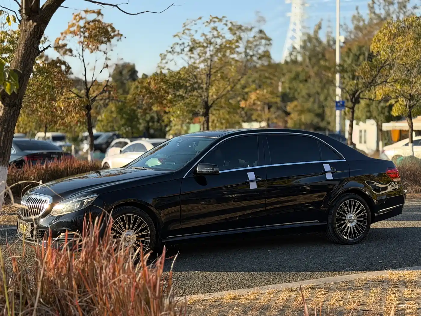 Mercedes-Benz E-Class 2015 E 320 L Luxury 4MATIC фото 13