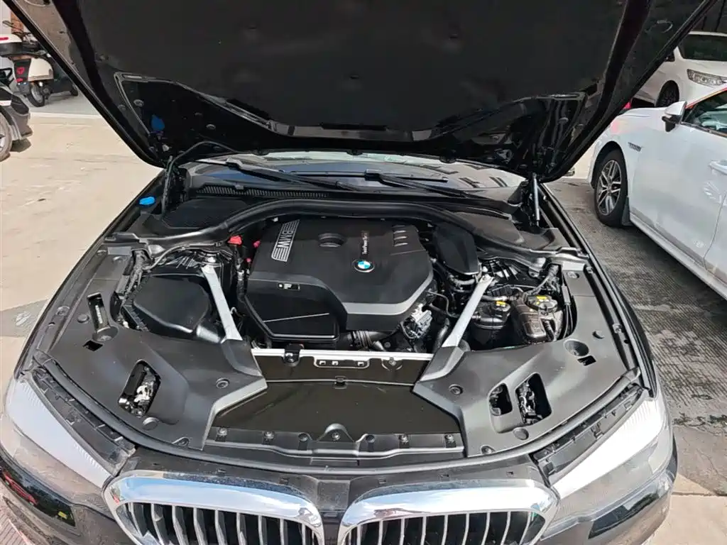 BMW 5 Series 2018 Facelift 530Li Leading Luxury Package фото 19